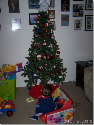 Baby C mesmerized by the tree.